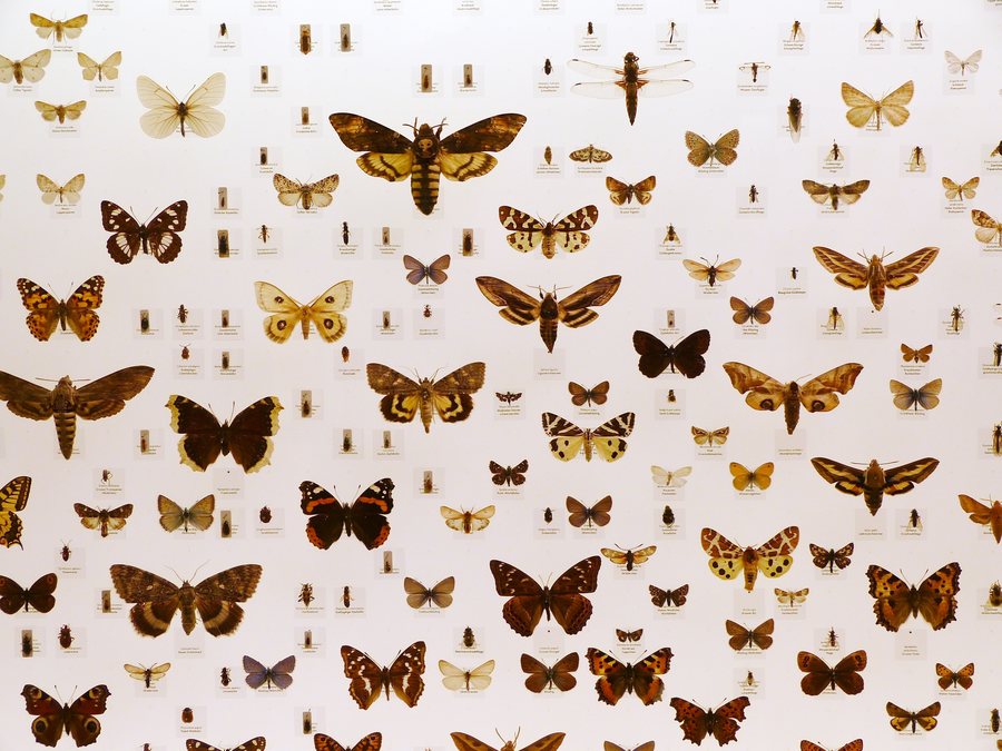 Naturmuseum Thurgau